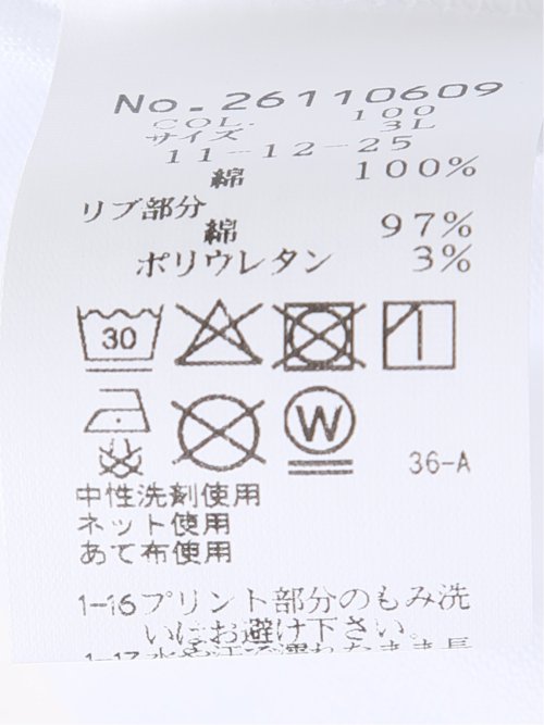 【大きいサイズ】シナコバ/SINA COVA 綿 シルケット クルーネック 半袖 Tシャツ