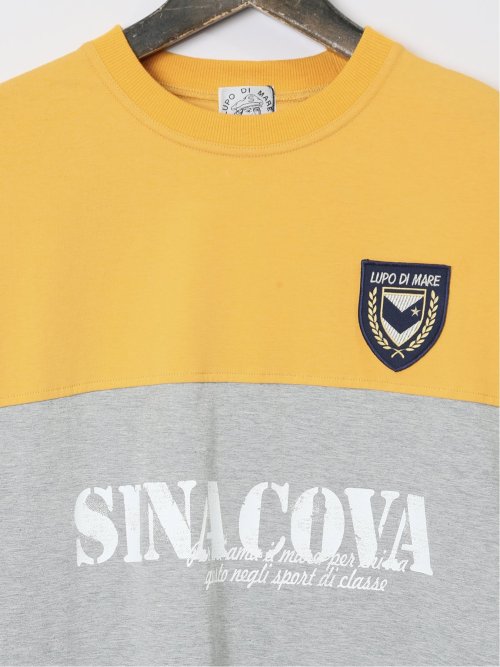 【大きいサイズ】シナコバ/SINA COVA 綿切替 クルーネック半袖Tシャツ