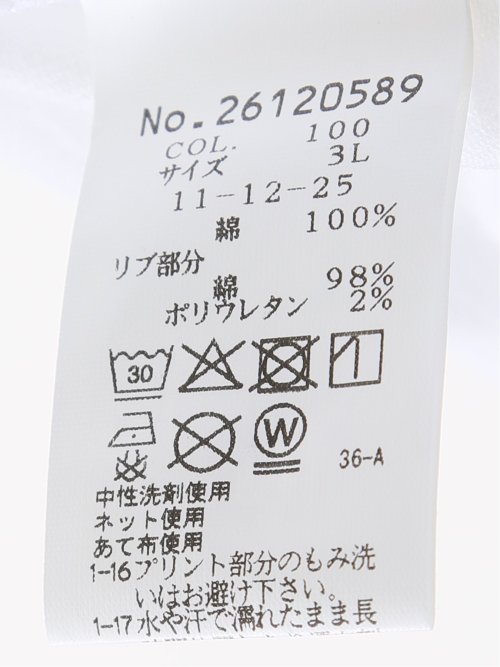 【大きいサイズ】シナコバ/SINA COVA 綿天竺 ラバープリント クルー 半袖 Tシャツ