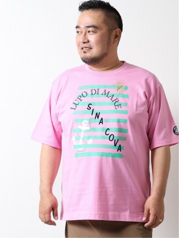 【大きいサイズ】シナコバ/SINA COVA プリント クルーネック半袖Tシャツ