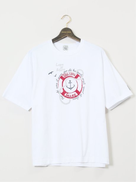 【大きいサイズ】シナコバ/SINA COVA 綿シルケット クルーネック半袖Tシャツ