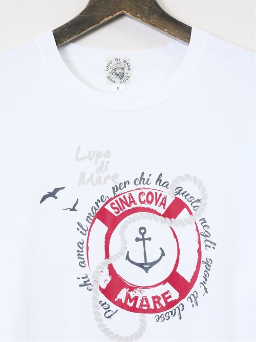 【大きいサイズ】シナコバ/SINA COVA 綿シルケット クルーネック半袖Tシャツ