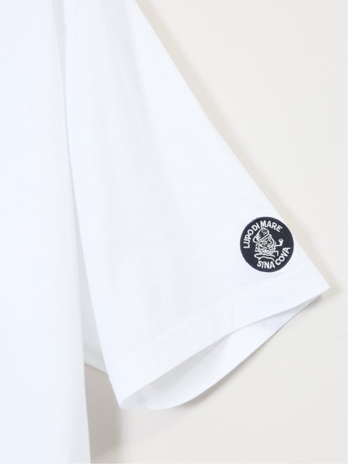 【大きいサイズ】シナコバ/SINA COVA 綿シルケット クルーネック半袖Tシャツ