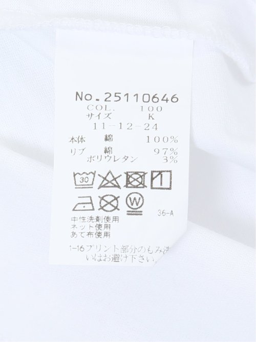 【大きいサイズ】シナコバ/SINA COVA 綿シルケット クルーネック半袖Tシャツ