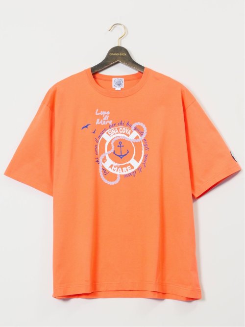 【大きいサイズ】シナコバ/SINA COVA 綿シルケット クルーネック半袖Tシャツ