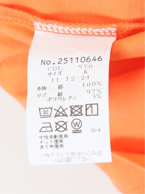 【大きいサイズ】シナコバ/SINA COVA 綿シルケット クルーネック半袖Tシャツ