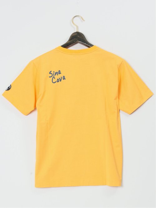 【大きいサイズ】シナコバ/SINA COVA 綿プリント クルーネック半袖Tシャツ