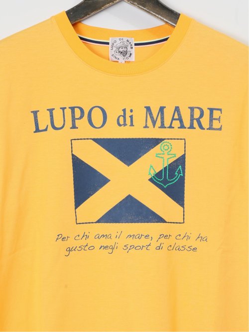 【大きいサイズ】シナコバ/SINA COVA 綿プリント クルーネック半袖Tシャツ