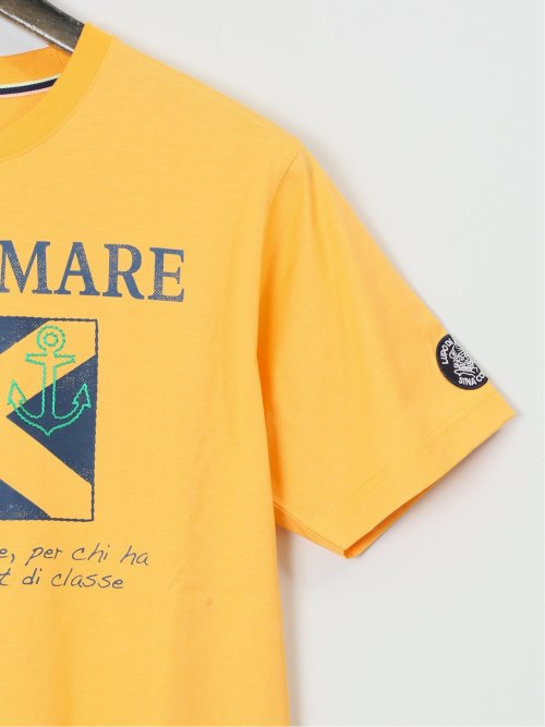 【大きいサイズ】シナコバ/SINA COVA 綿プリント クルーネック半袖Tシャツ