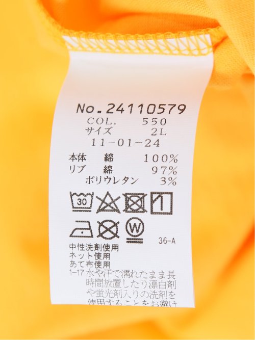 【大きいサイズ】シナコバ/SINA COVA 綿プリント クルーネック半袖Tシャツ