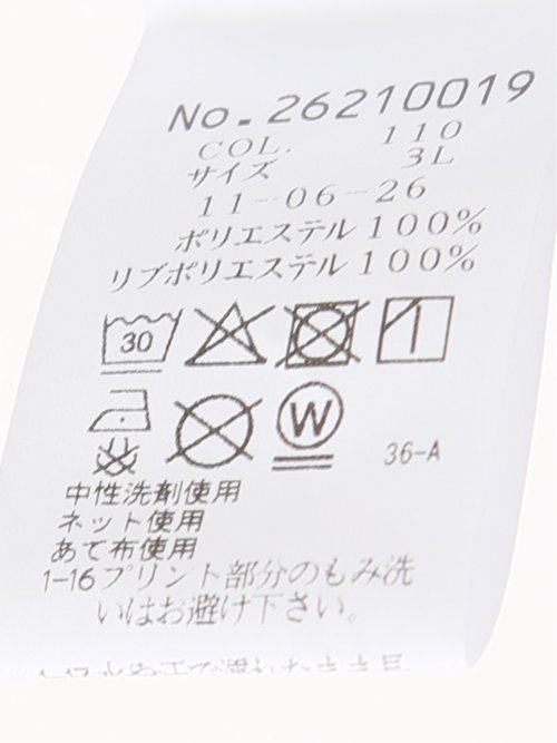 【大きいサイズ】シナコバ ポロシャツ メンズ 長袖 ストレッチ 吸水速乾 ボタンダウン 鹿の子