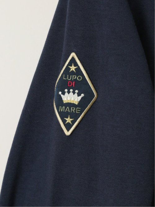 【大きいサイズ】シナコバ/SINA COVA 綿混 長袖プルパーカー