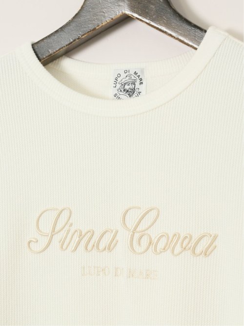 【大きいサイズ】シナコバ/SINA COVA 綿100% 針抜き クルー長袖プルオーバー