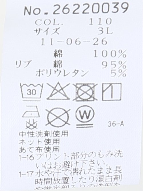 【大きいサイズ】シナコバ プルオーバー メンズ 長袖 綿 コットン クルーネック 裏毛 トレーナー
