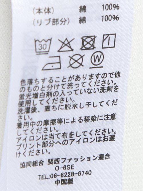 【大きいサイズ】ディッキーズ/Dickies 綿天竺 ロゴ プリント クルー 半袖 Tシャツ