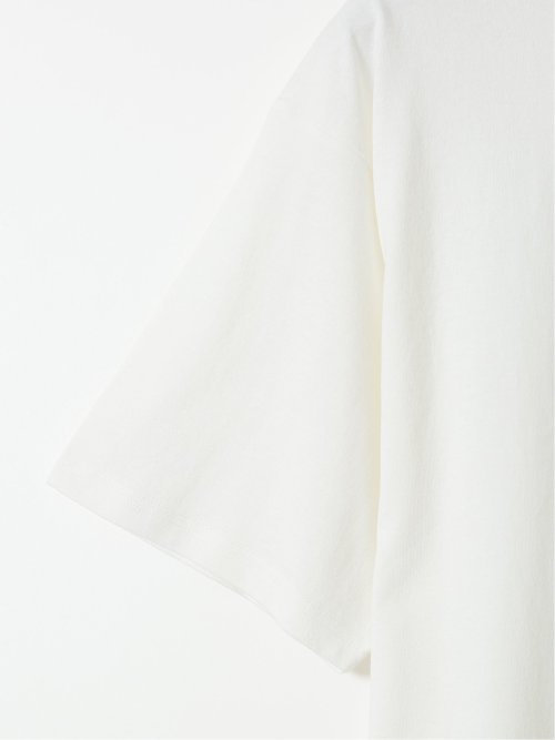 【大きいサイズ】ディッキーズ/Dickies 綿天竺 グラフィック プリント クルー 半袖 Tシャツ