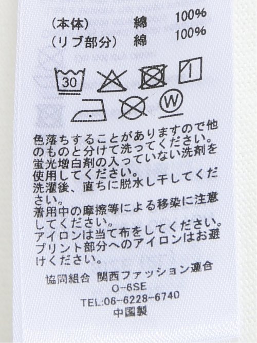 【大きいサイズ】ディッキーズ/Dickies 綿天竺 グラフィック プリント クルー 半袖 Tシャツ