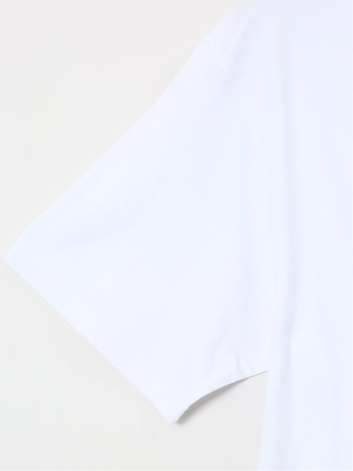 【大きいサイズ】オーシャン パシフィック/Ocean Pacific 綿天竺 クルーネック半袖Tシャツ