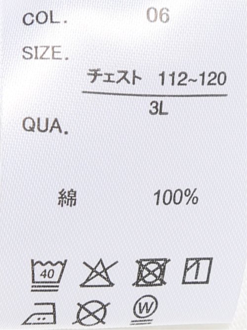 【大きいサイズ】エスパスヴェール/ESPACE VERT 綿 スラブ 天竺 ペンギン クルーネック 半袖 Ｔシャツ