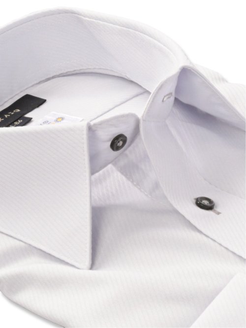 形態安定 吸水速乾 スタンダードフィット レギュラーカラー長袖シャツ