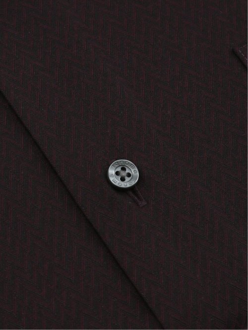 イージーアイロン NEWスタンダードフィット スナップダウン長袖シャツ