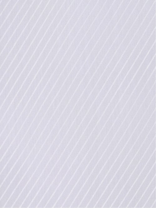 超長綿120双糸 スタンダードフィット ワイドカラー長袖シャツ