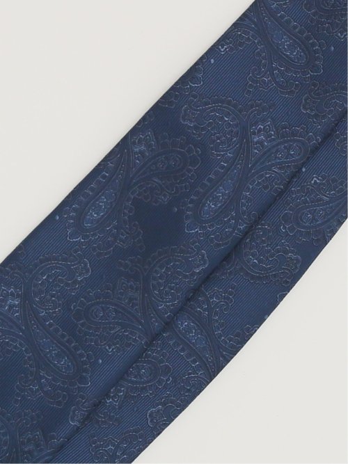 エコウォッシャブル ペイズリー柄 レギュラータイ 8.0cm幅