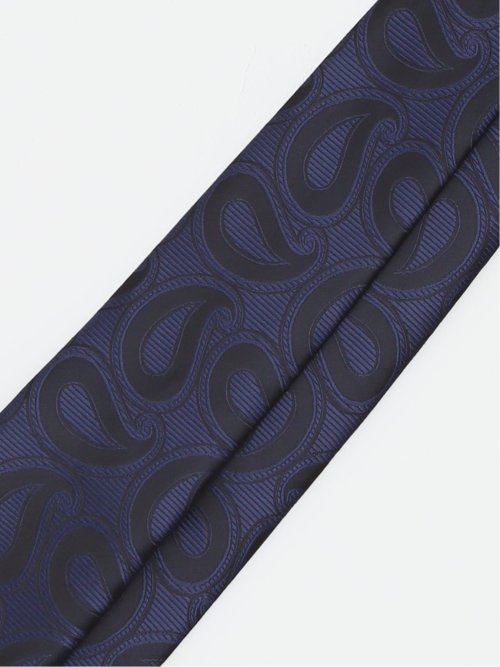 エコウォッシャブル ペイズリー柄 レギュラータイ 8.0cm幅