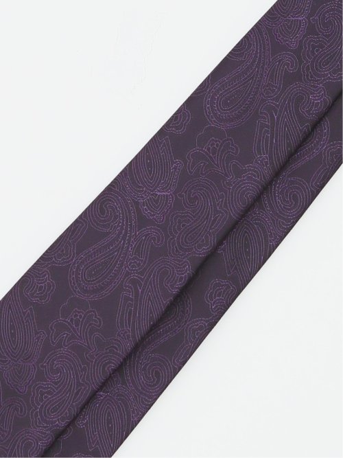 エコウォッシャブル ペイズリー柄 レギュラータイ 8.0cm幅
