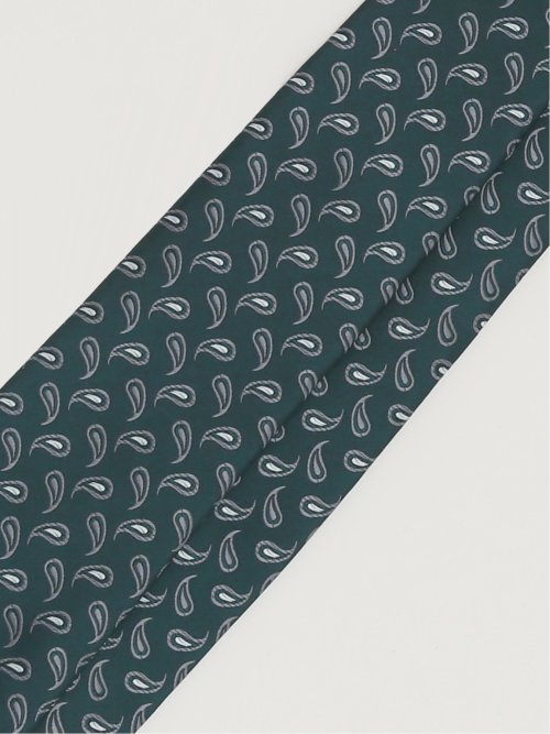 エコペット/ECO PET ペイズリー柄 レギュラータイ 8.0cm幅