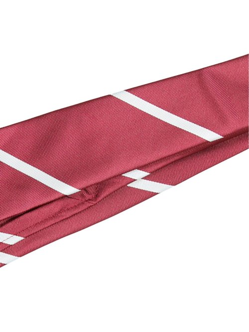 エコペット/ECO PET ストライプ柄 レギュラータイ 8.0cm幅