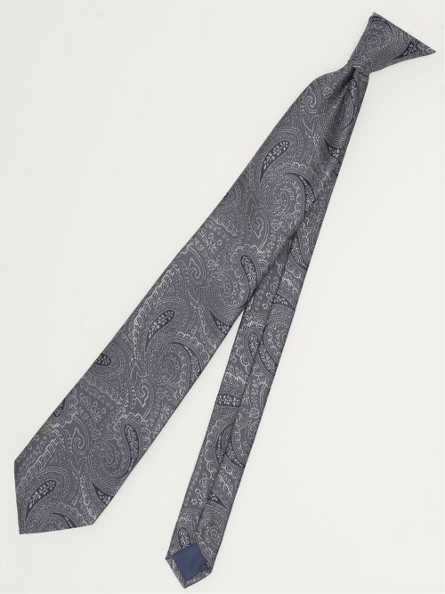 エコウォッシャブル ペイズリー柄 レギュラータイ 8.0cm幅