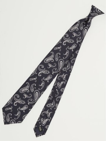 日本製 シルクペイズリー柄 レギュラータイ 8.0cm幅