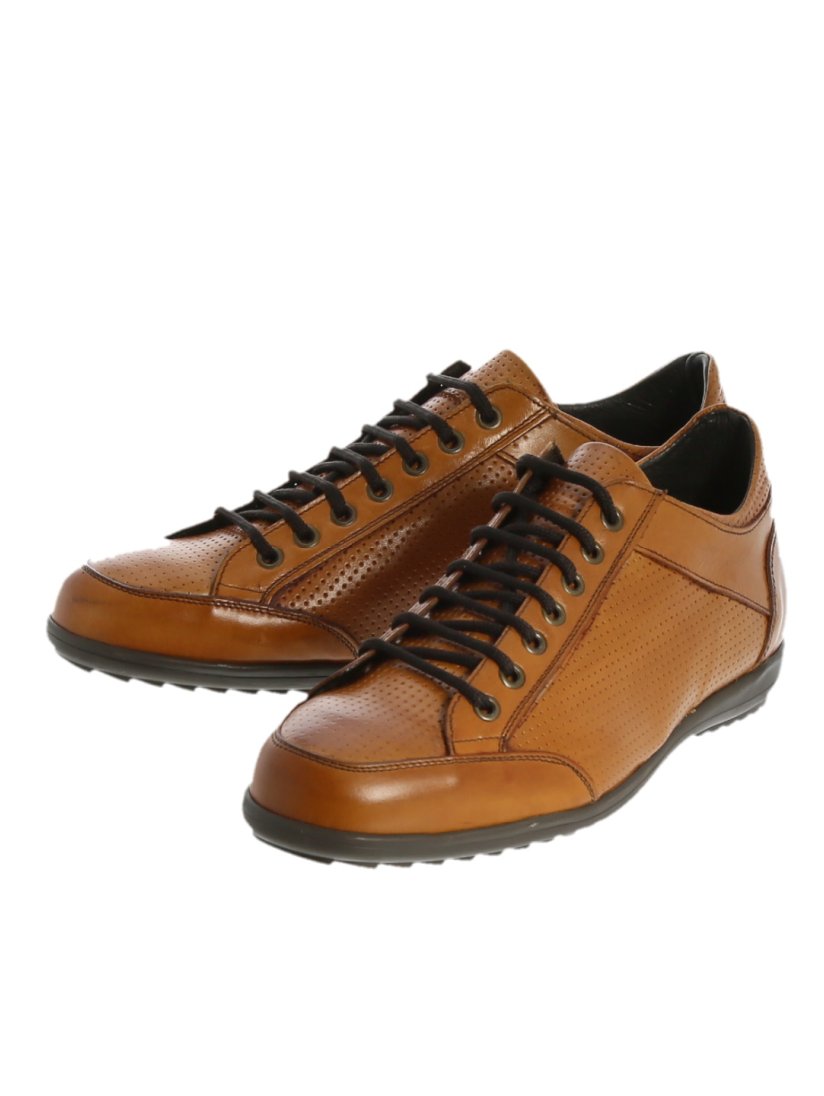 大きいサイズ アラウンドザシューズ Around The Shoes Made In Italy パンチング レザースニーカー 43 0 30茶 シューズ Taka Q Online Shop タカキューオンラインショップ 公式通販