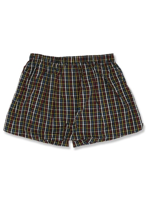 大きいサイズ】アーノルドパーマー/Arnold Palmer 布帛トランクス(GB