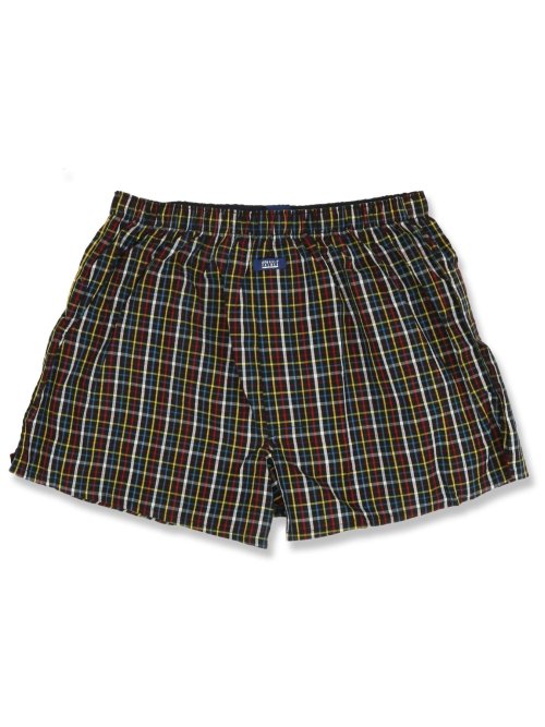 【大きいサイズ】アーノルドパーマー/Arnold Palmer 布帛トランクス