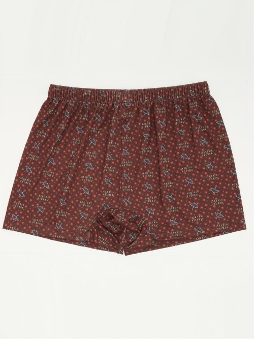 【大きいサイズ】アーノルドパーマー/Arnold Palmer ニットトランクス