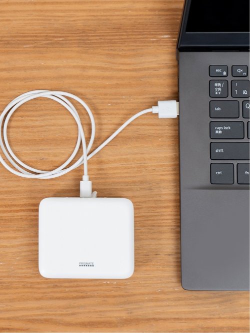 PRISMATE(プリズメイト) マスキュレーター 充電ケース付