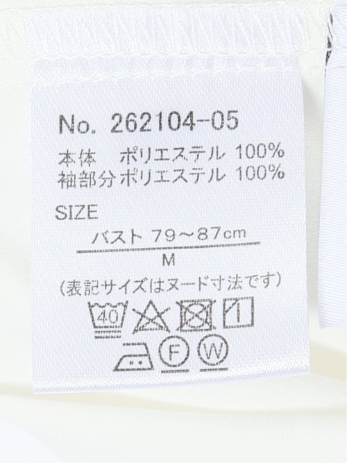 袖プリーツ プルオーバーブラウス