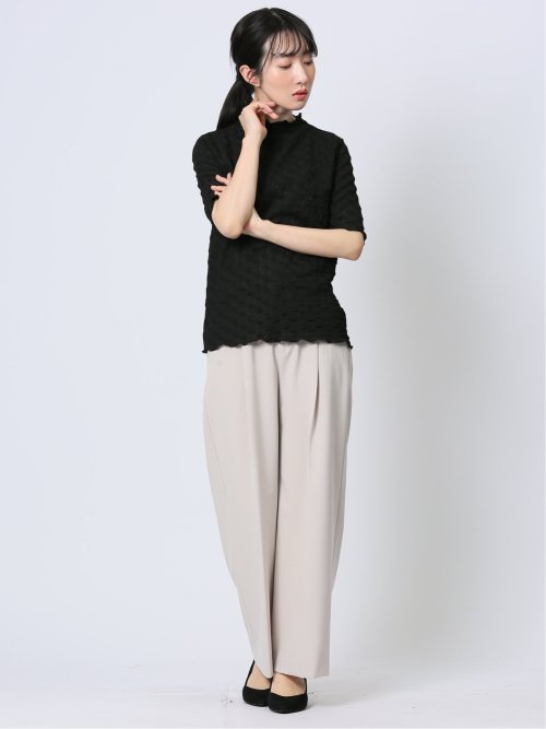 ストレッチレース調 ハイネック半袖プルオーバー