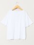 綿スムス クルーネック ラッフルスリープ Tシャツ