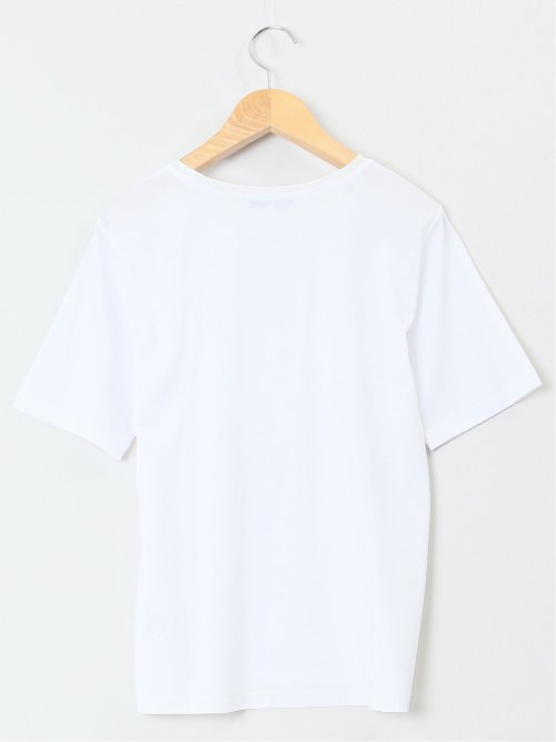 チュール衿 半袖Ｔシャツ